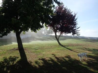 Chevy Chase Beach Cabins with Scout