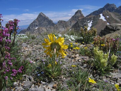 Grand Teton National Park