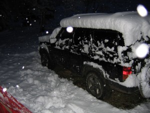 Surprise Snowfall